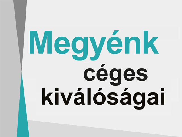 Megyénk céges kiválóságai: a Herendi Porcelánmanufaktúra Zrt.