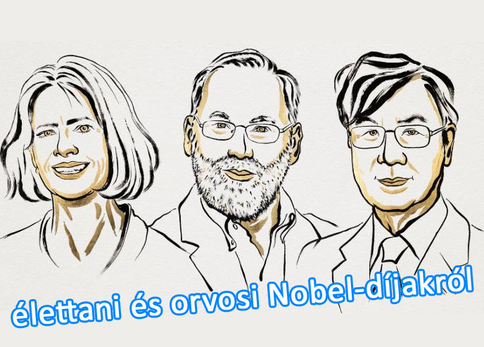 Közérthetően a 2025-ös és a 2024-es élettani- orvosi Nobel-díjakról