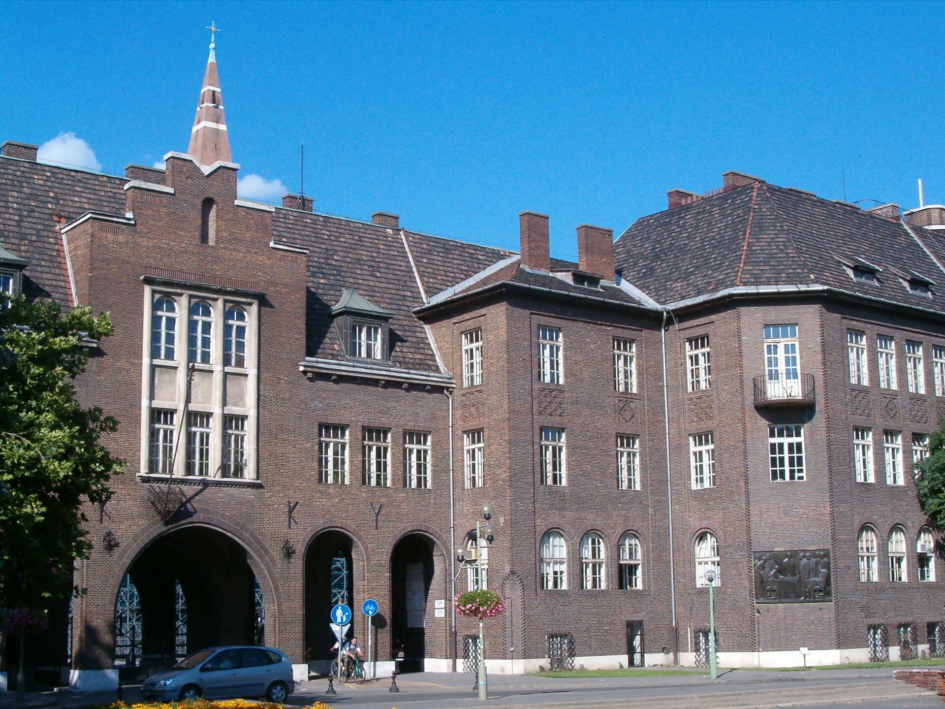 Fontos szerepe volt az antibiotikum fejlesztésében?