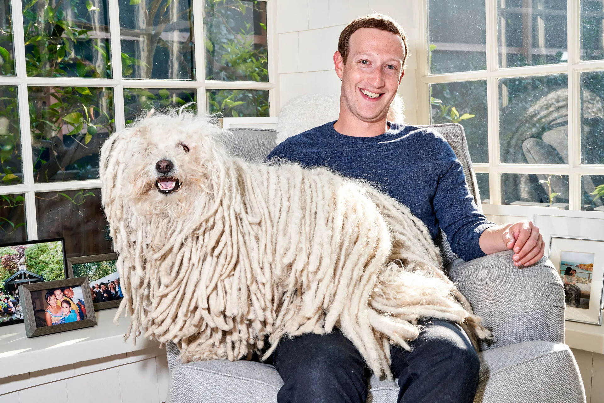 He has a Hungarian puli, Beast