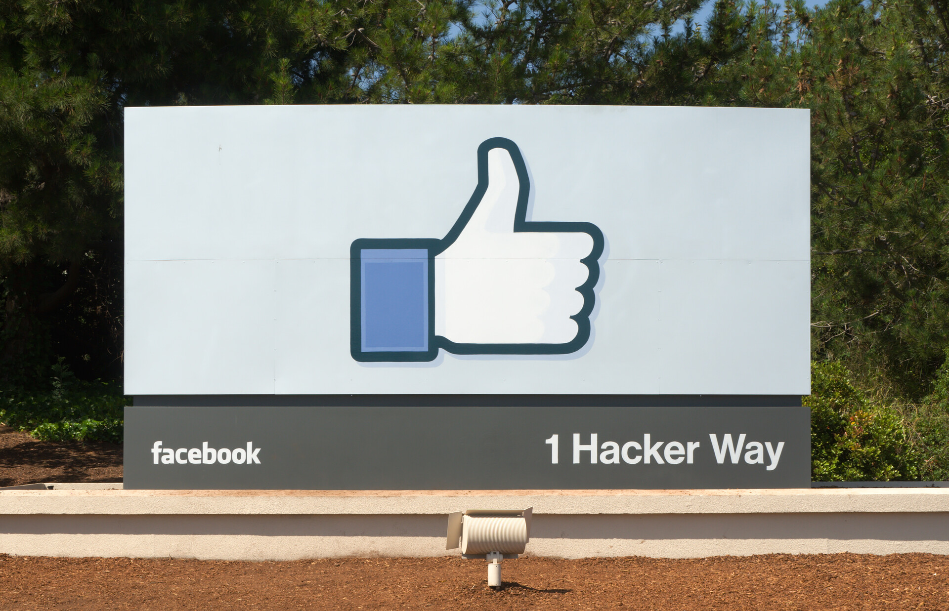 The like button